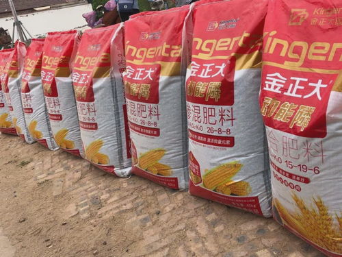盐碱地里夺高产 磷肥如何改写“不毛之地”的命运